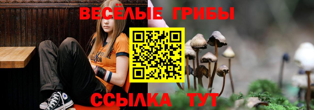 Галлюциногенные грибы MAGIC MUSHROOMS Люберцы